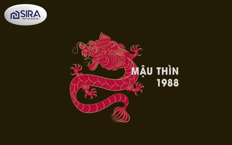 1988 hợp màu gì